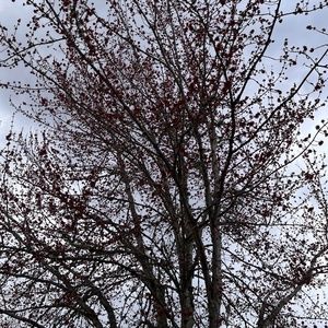 Meet your Posher, Fady